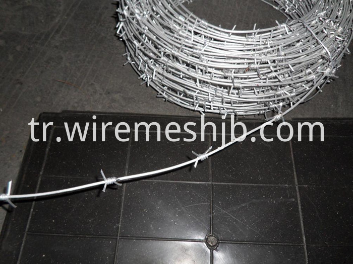 Single Strand Barbed Wire